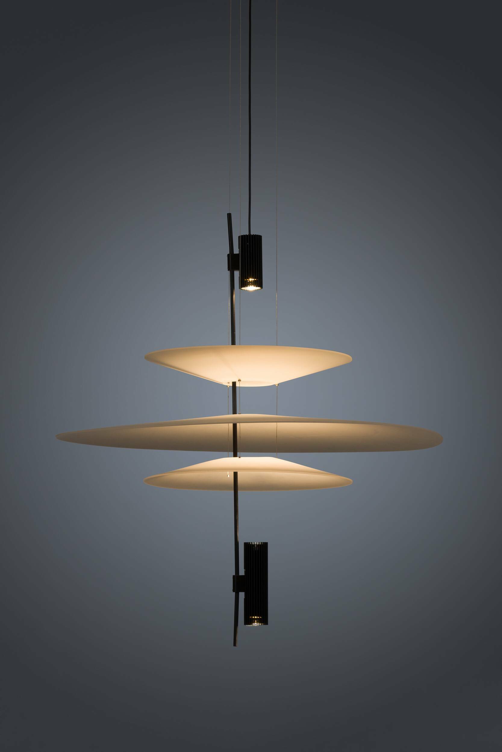 Підвісні світильники Підвісний світильник Flamingo 1