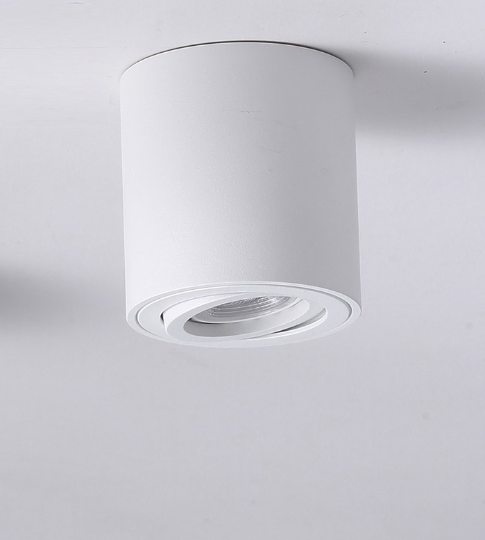 Точкові накладні Точковий світильник VASMAR 54311 1